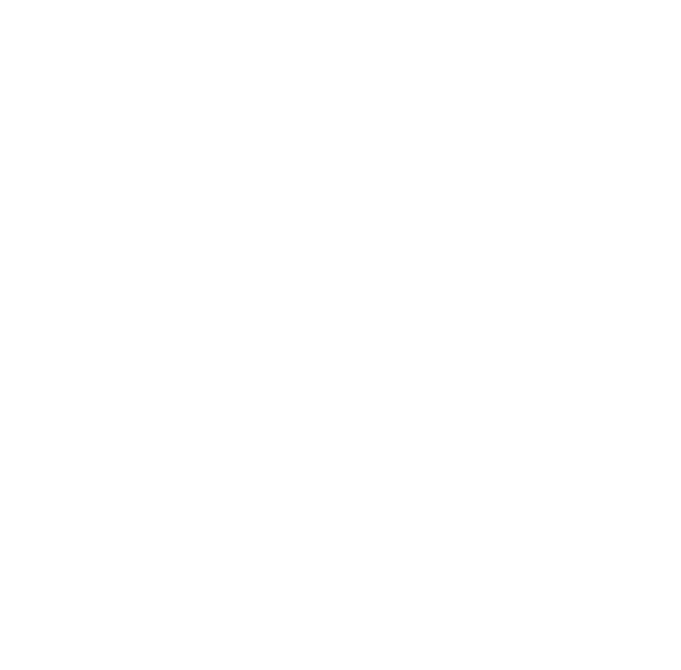 l_LOGO ALTERNATIF ZAWAJ PRECIEUX BLANC (1)